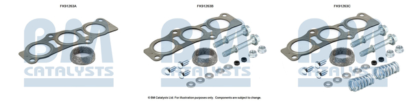 Bm Catalysts FK91263 Katalysator montageset