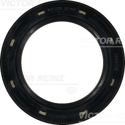 Victor Reinz 81-26248-10 Krukas keerring