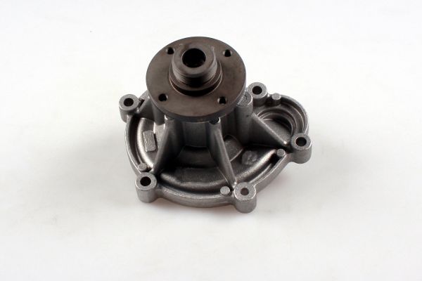 Hepu P1512 Waterpomp