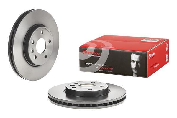 Brembo 09.D391.11 Remschijf