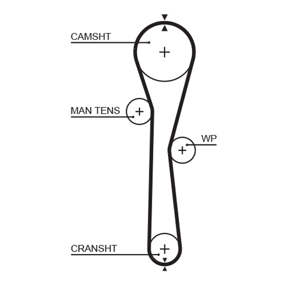 Gates 5577XS Distributieriem