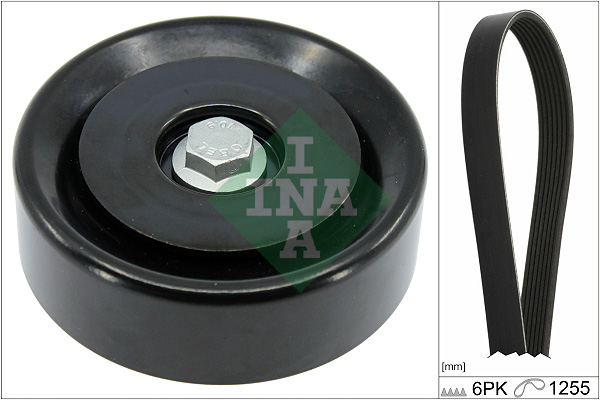 Ina 529 0496 10 Poly V-riemen kit