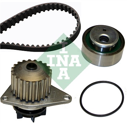 Ina 530 0012 30 Distributieriem kit incl.waterpomp
