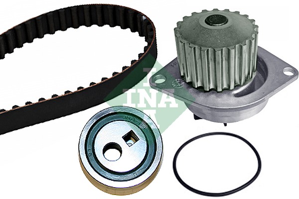 Ina 530 0252 30 Distributieriem kit incl.waterpomp