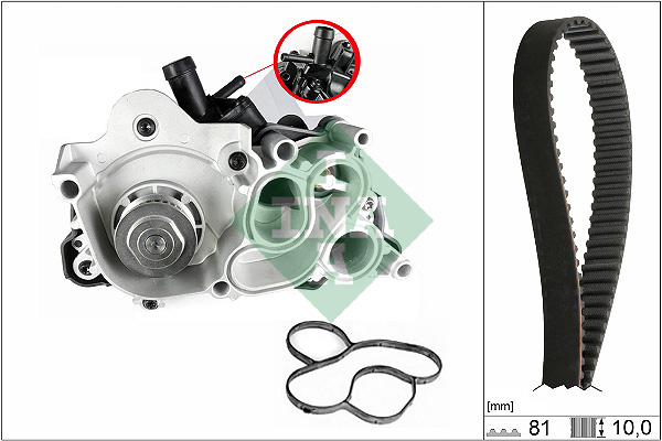 Ina 530 0743 30 Distributieriem kit incl.waterpomp