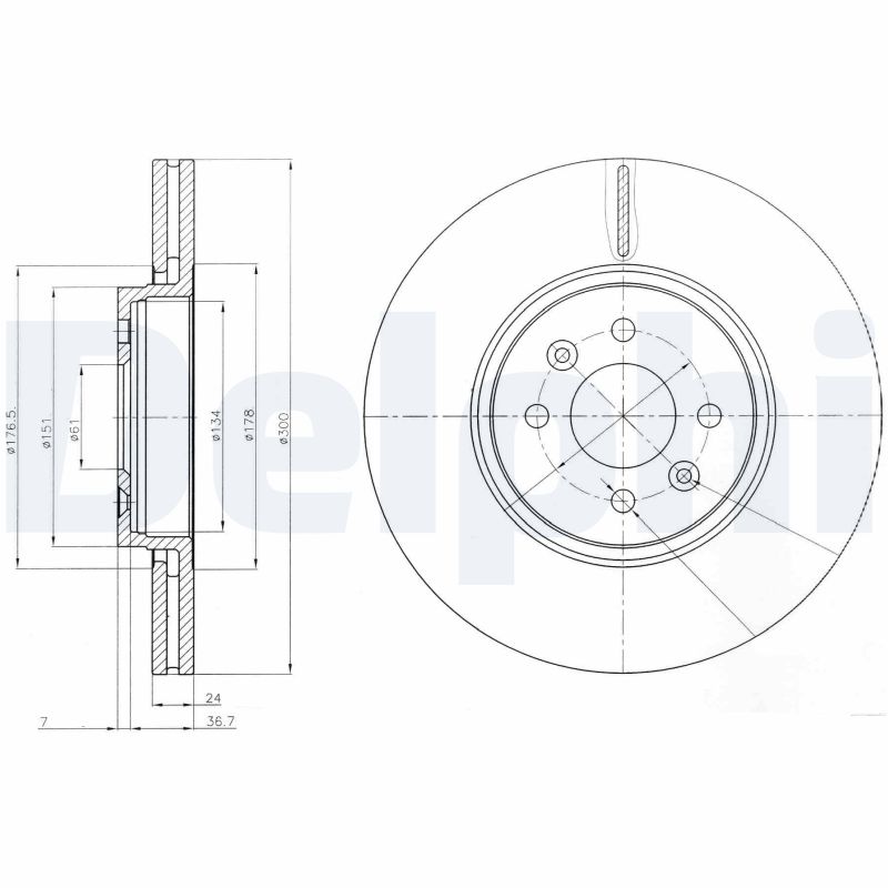Delphi BG3929 Remschijf