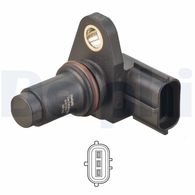 Delphi SS12311-12B1 Nokkenas positiesensor