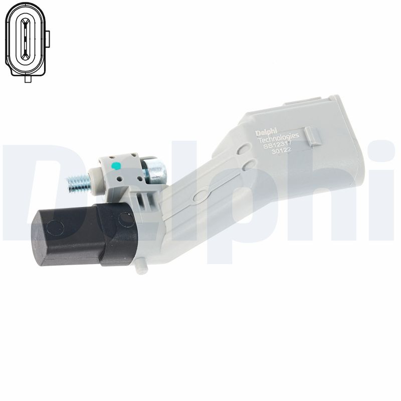 Delphi SS12317-12B1 Krukas positiesensor