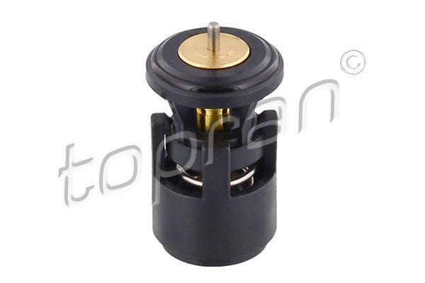Topran 100 616 Thermostaat