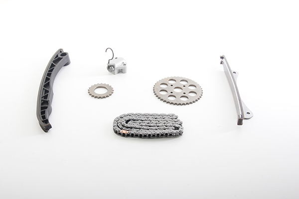 BSG BSG 25-102-001 Distributieketting kit