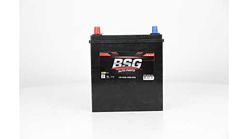 BSG BSG 99-997-002 Accu