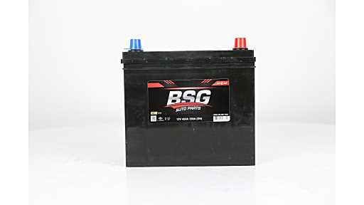 BSG BSG 99-997-003 Accu