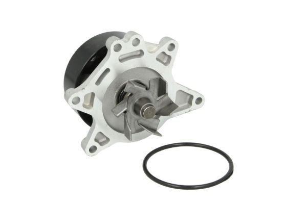 Thermotec D12083TT Waterpomp