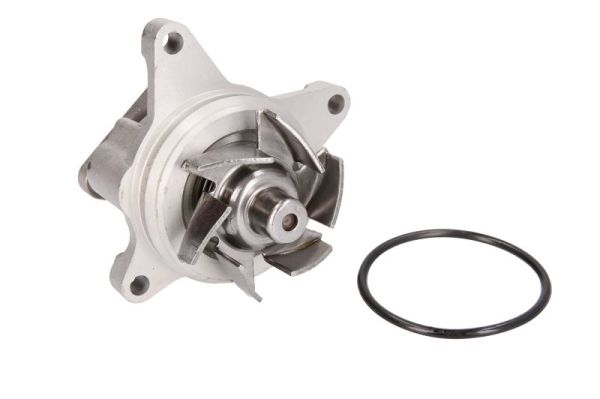 Thermotec D13038TT Waterpomp