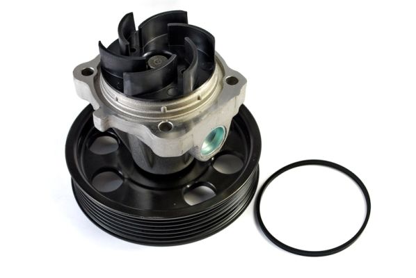 Thermotec D1F074TT Waterpomp