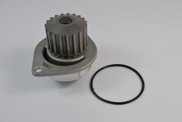 Thermotec D1P010TT Waterpomp