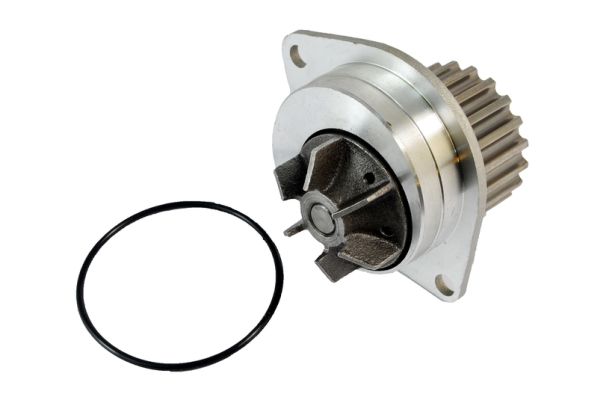 Thermotec D1P019TT Waterpomp
