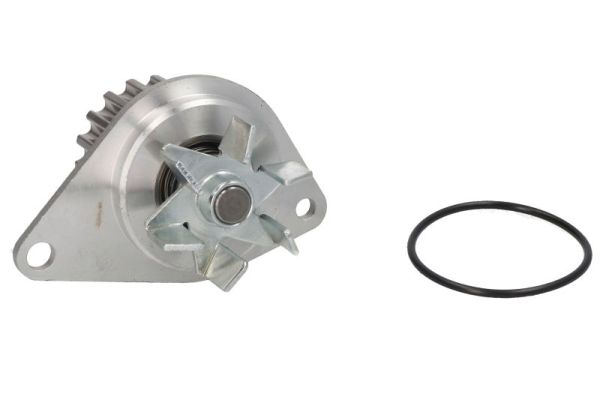 Thermotec D1P043TT Waterpomp
