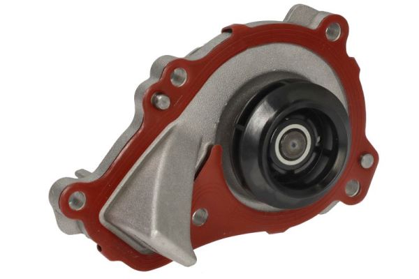 Thermotec D1P050TT Waterpomp
