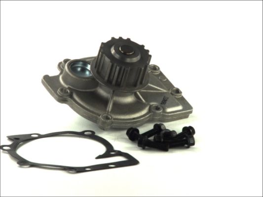 Thermotec D1V013TT Waterpomp