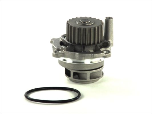 Thermotec D1W028TT Waterpomp