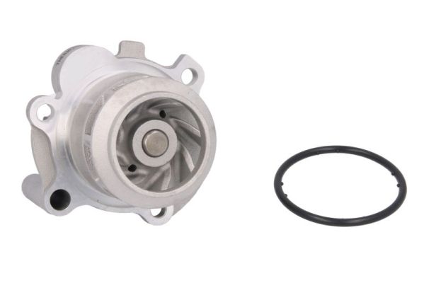 Thermotec D1W042TT Waterpomp