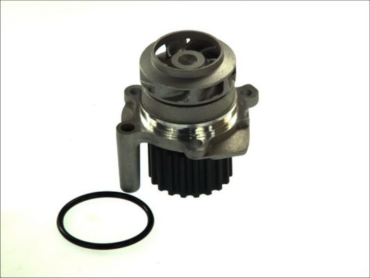 Thermotec D1W048TT Waterpomp