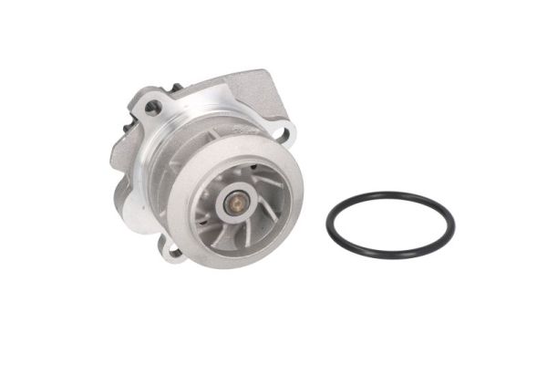 Thermotec D1W058TT Waterpomp