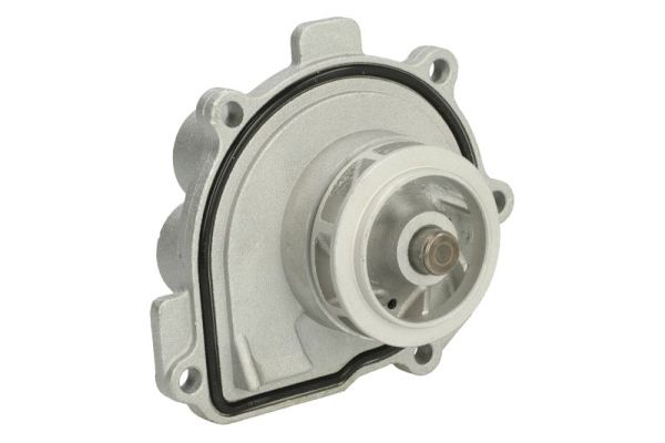 Thermotec D1X047TT Waterpomp