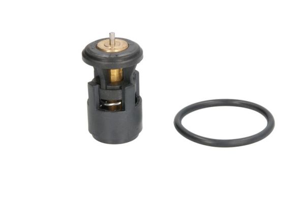 Thermotec D2A005TT Thermostaat