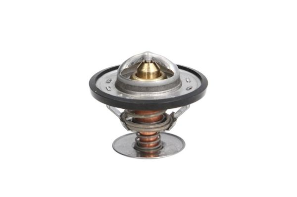Thermotec D2G001TT Thermostaat