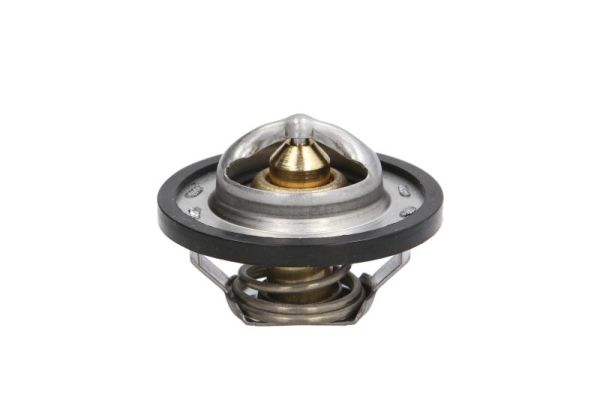 Thermotec D2R001TT Thermostaat