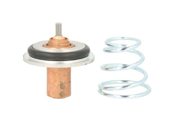 Thermotec D2R002TT Thermostaat