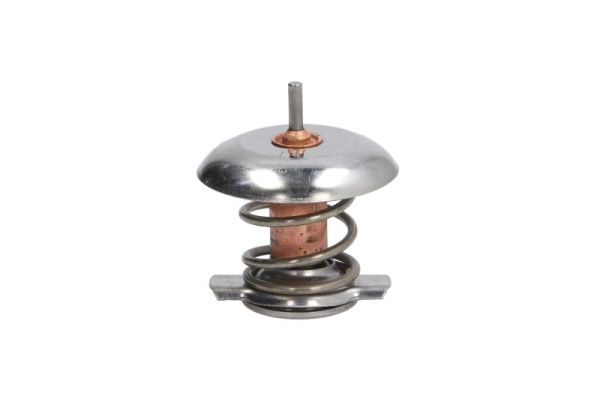 Thermotec D2V001TT Thermostaat