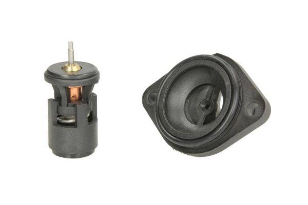 Thermotec D2W004TT Thermostaat