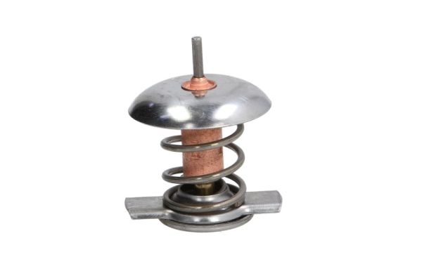 Thermotec D2X005TT Thermostaat